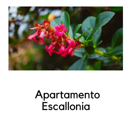 דירה La Ermita Navamuel