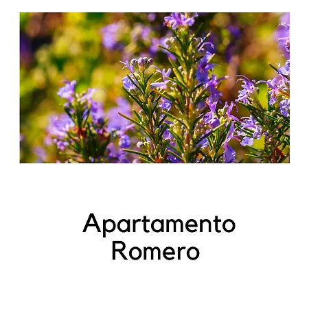 Διαμέρισμα La Ermita Navamuel