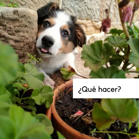 La Ermita דירה *