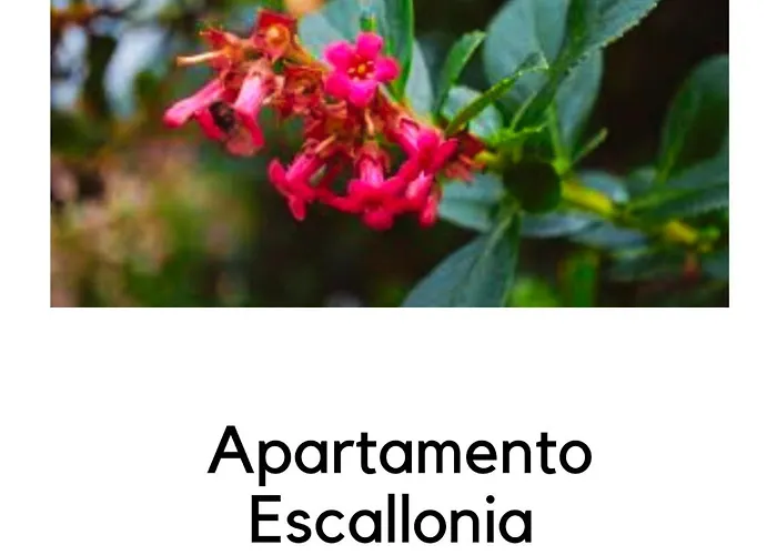 Apartment La Ermita Navamuel