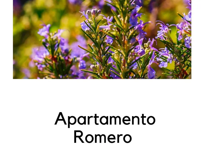 Apartment La Ermita Navamuel