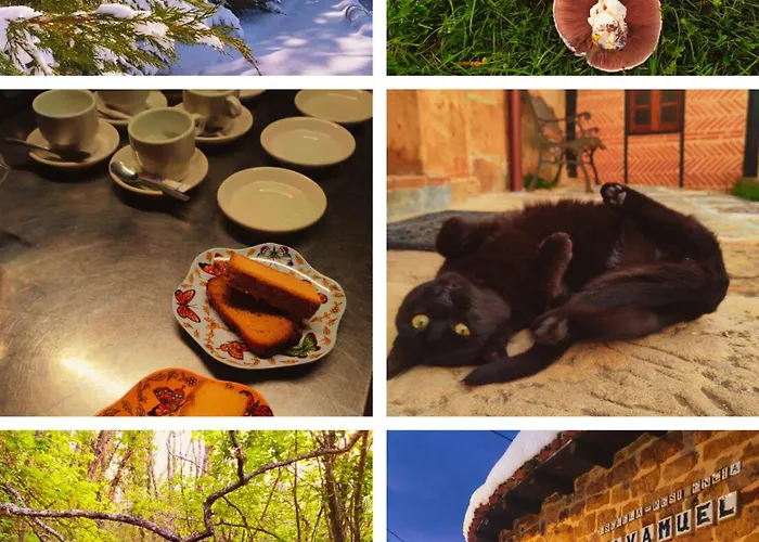 Apartment La Ermita Navamuel